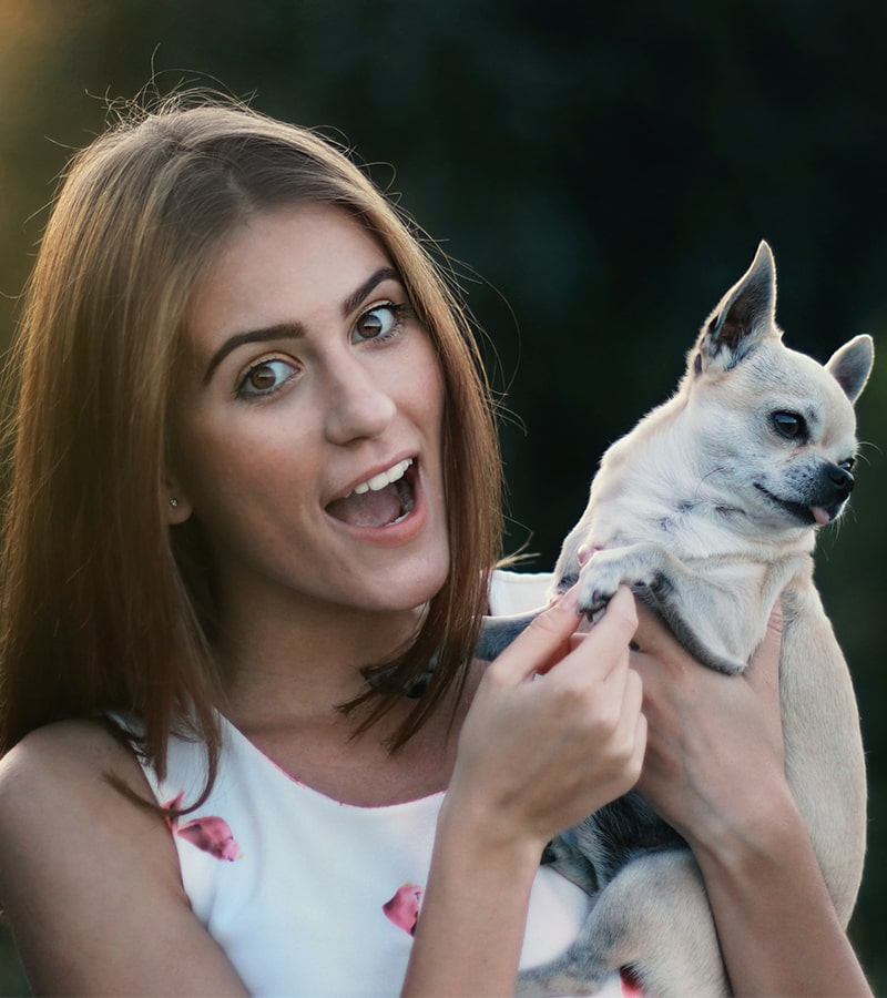 Übersicht über Lernmodule und Kursstruktur für Online Marketing Kurse